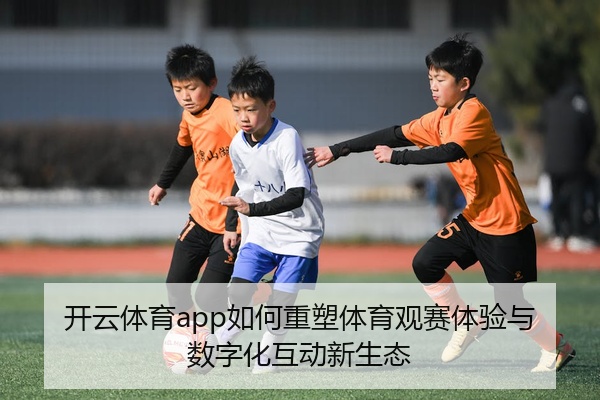 img_1777511639005_121_1_851.jpg